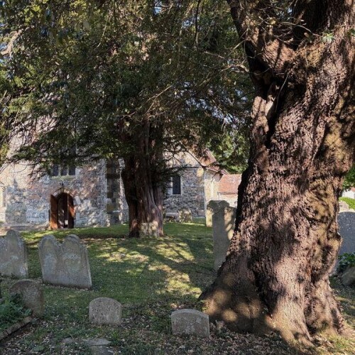 Zachary Paul and Celia Eydeland-The Echoing Green-(ASH165)-24BIT-WEB-FLAC-2026-ENRiCH