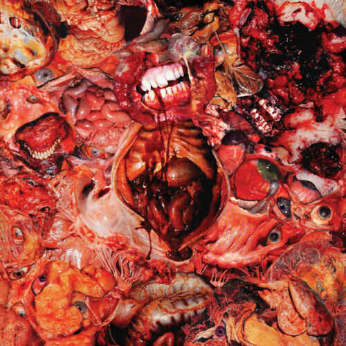 Festerdecay-From Demo to Rot-24BIT-WEB-FLAC-2026-MOONBLOOD