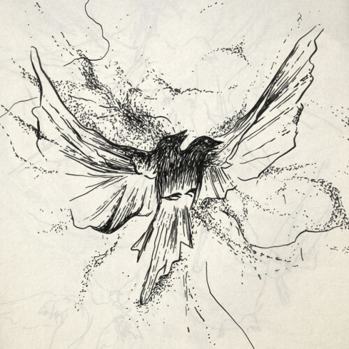 Sofia Clonn-Post-Alien-(TMBN043)-24BIT-WEB-FLAC-2026-ENRiCH