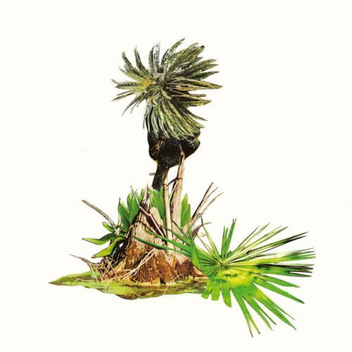 LAGOSS-Musica para Platanos-(KRXN047)-24BIT-WEB-FLAC-2026-ENRiCH