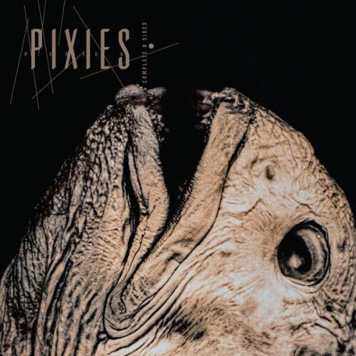 Pixies-Complete B Sides 1988-97-REMASTERED-24BIT-WEB-FLAC-2026-ENRiCH
