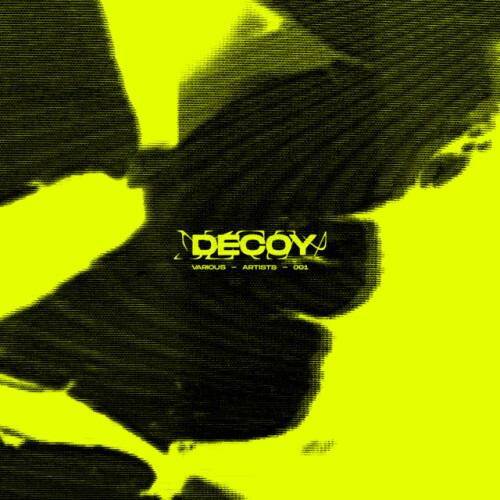 VA-DECOY VA001-DECOYVA001-24BIT-WEB-FLAC-2026-WAVED