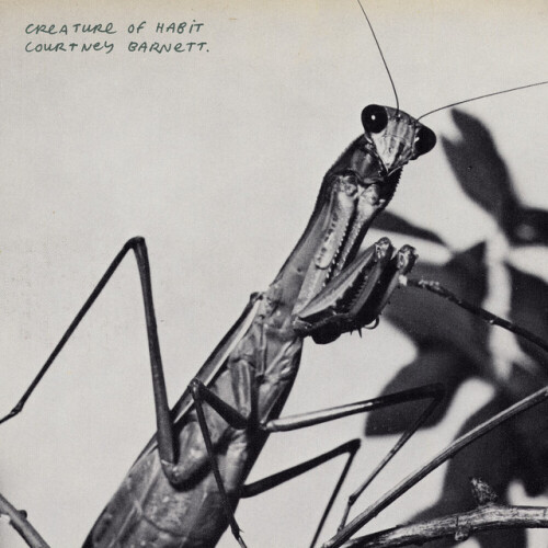 Courtney Barnett-Creature Of Habit-(04841841)-CD-FLAC-2026-HOUND